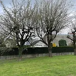 Basel Airport Garden