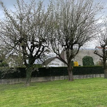 Basel Airport Garden