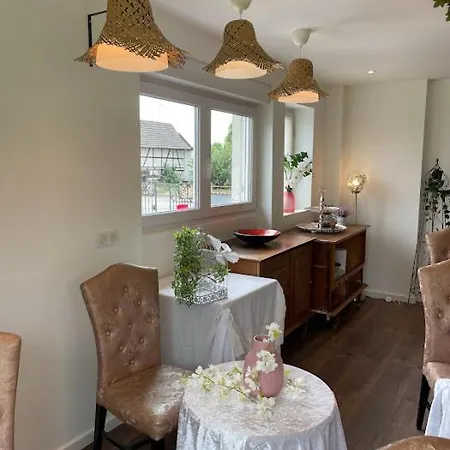 Basel Airport Garden Konukevi